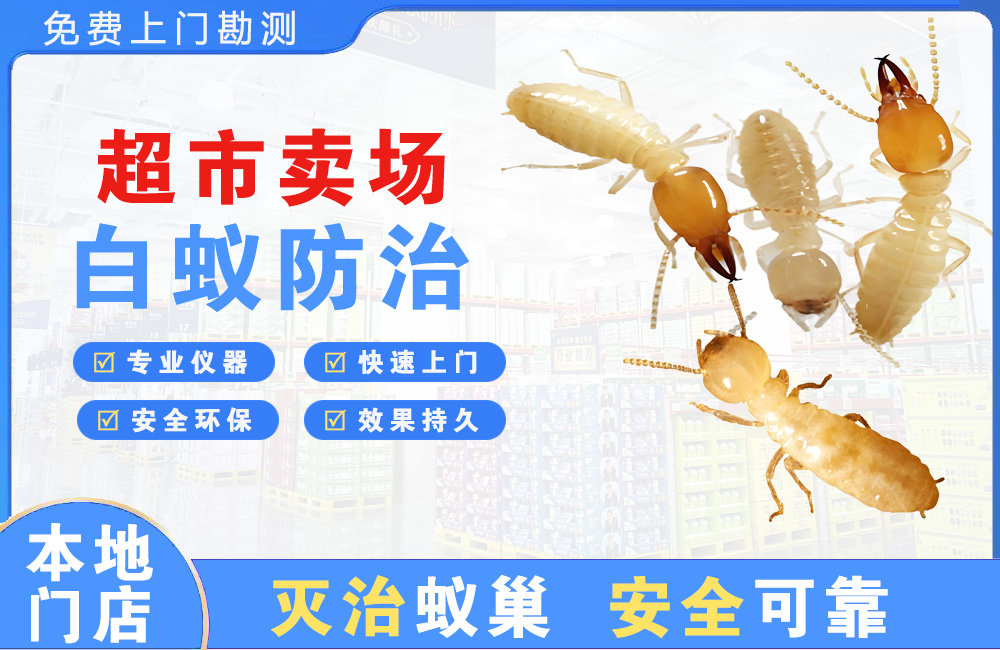 文昌超市卖场白蚁防治