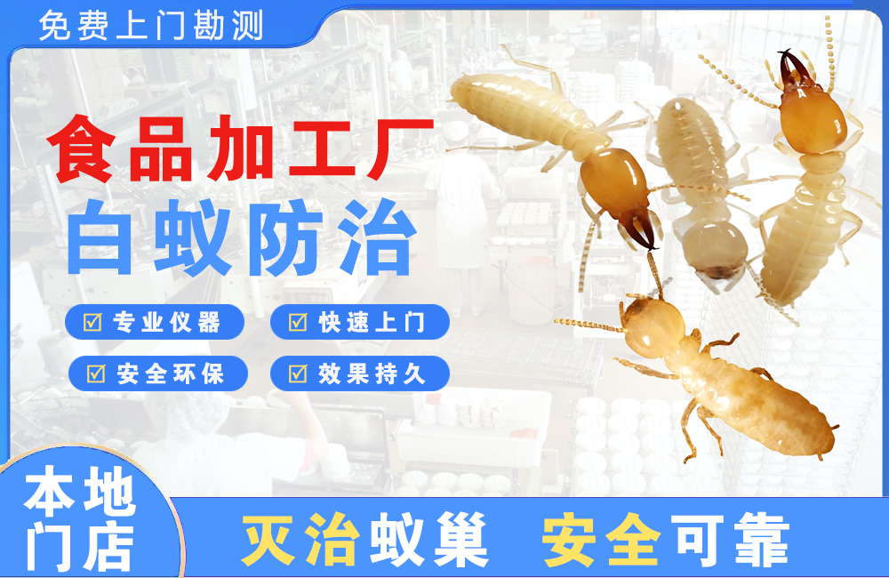 文昌食品加工厂白蚁防治