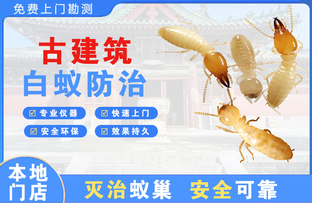 文昌古建筑白蚁防治