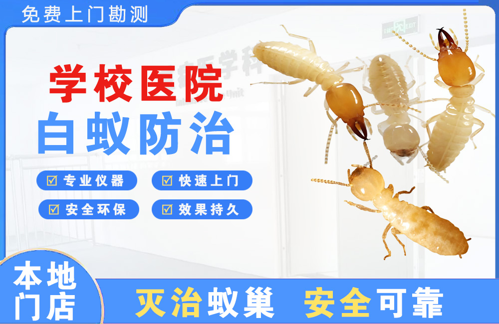 文昌学校医院白蚁防治
