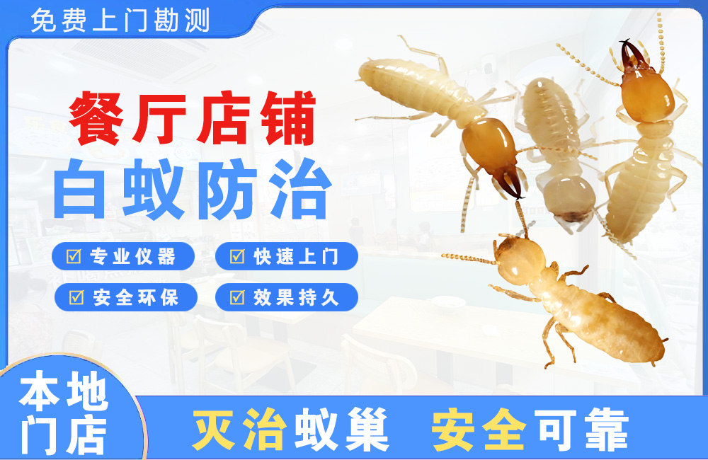 文昌餐厅店铺白蚁防治
